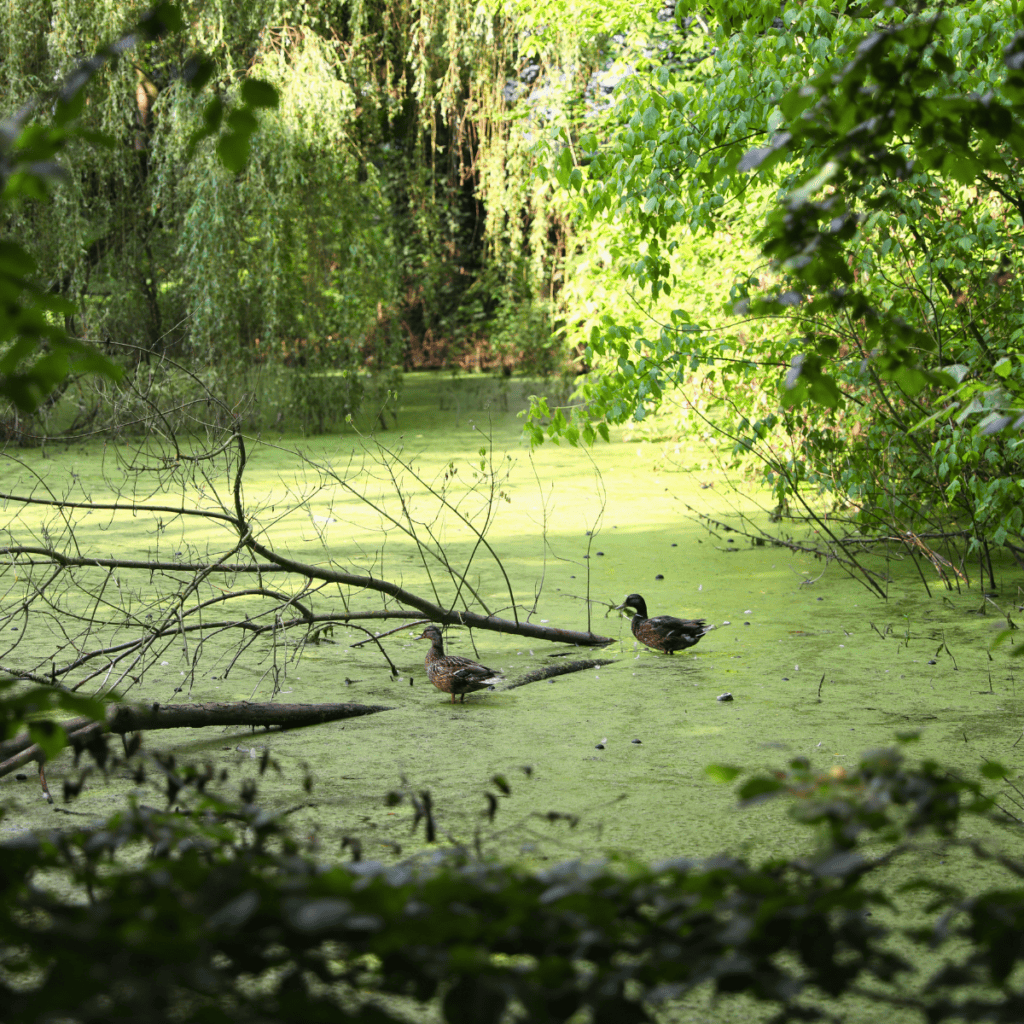 Wyckaert METALI Lieve Park3